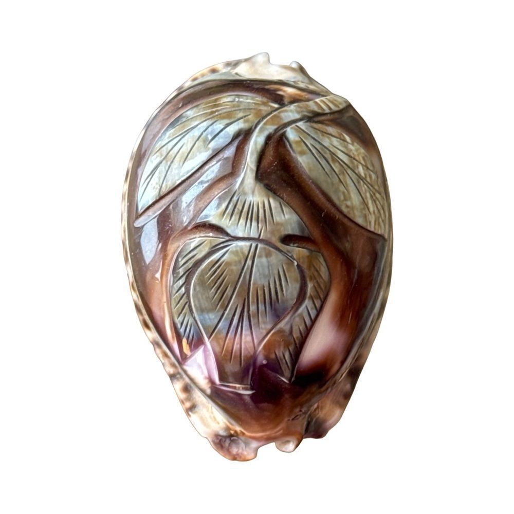 Carved Shell Flower - Picture 6 of 6